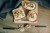 fbee87bebd105c1fe122d1756420f552.jpg