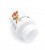 2ace61db018cb80aed3b35f54ad32b67.jpg