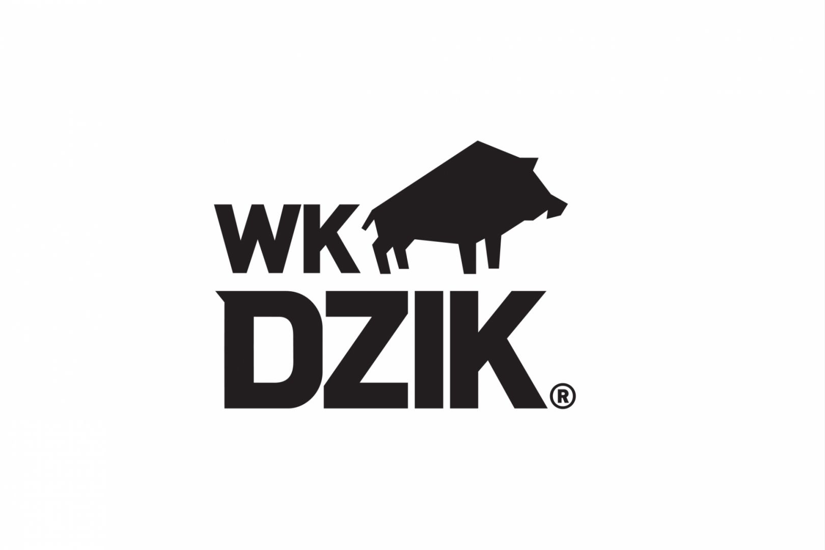 Producent: WK DZIK (przejdź do produktów)